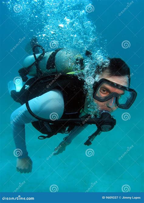 man scuba diving royalty  stock photography image
