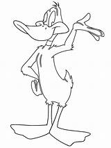 Daffy Looney Tunes Coloringpage sketch template