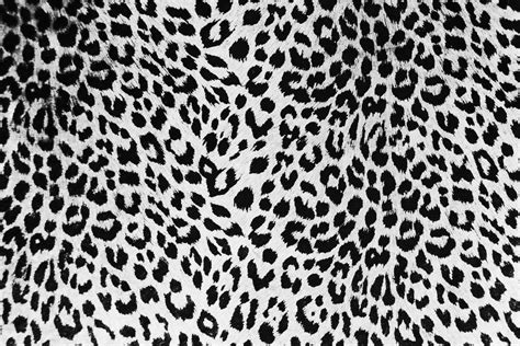 leopard backgrounds wallpaper cave
