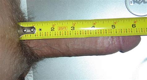 cock measure picture