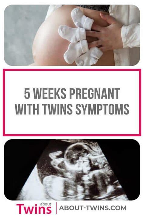 5 weeks pregnant with twins symptoms belly and ultrasound about twins