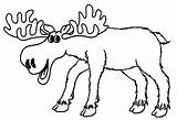 Moose Coloring Pages Kids Cartoon Elk Drawing Printable Color Baby Bull Clipart Print Colouring Colors Collection Sheets Animal Cool2bkids Getcolorings sketch template