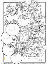 Coloring Garden Pages Printable Adult Color Adults Colouring Sheets Vegetable Book Books Dover Publications Food Volwassenen Voor Kleuren Colorful Doodle sketch template