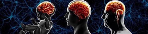 brain health across lifespan neurodevelopmental disorder prevention uc davis big idea