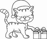 Cat Coloring Christmas Hat Happy Gift Pages Taking Wearing Printable Cats Wecoloringpage Color Sheets Choose Board sketch template