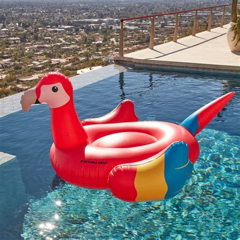 swimline giant parrot  swimming pools  shipping today overstockcom