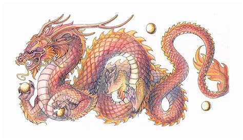 realistic cool chinese dragon drawing