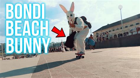The Australian Easter Bunny Comes To Sydney Bondi Beach Youtube
