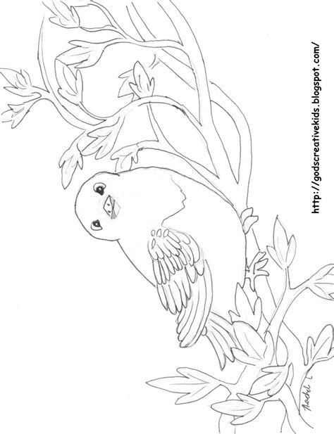 ray chills world bird   branch coloring page  rachel