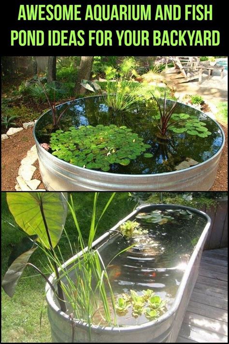 fascinating diy indoor aquaponics fish tank ideas