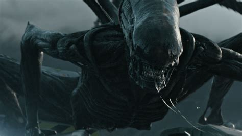 alien covenant review exquisite but infuriating collider