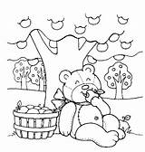 Bear Teddy Picnic Coloring Pages Bears Drawing Printable Kids Les Print Apple Preschool Thème Préscolaire Color Enfants Coloriage Pour Pomme sketch template