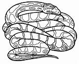 Anaconda Colouring Snakes Anacondas Rattlesnake Poisonous Coloringsky sketch template