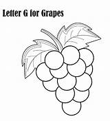 Coloring Letter Grape Pages sketch template