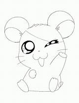 Coloring Cartoon Pages Animals Printable Funny Library Clipart Hamtaro Drawing Easy sketch template
