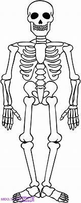 Skeleton Esqueleto Huesos Colorear Skeletal Calaveras Skeletons Kidsplaycolor sketch template