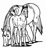 Horse Coloring Pages Foal Horses Baby Pony Ponies Mother Color Mare Show Getcolorings Printable Print Getdrawings Template sketch template