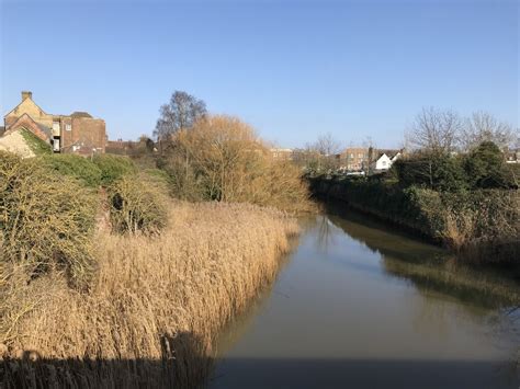 reeds   mill fleet kings lynn  richard humphrey cc  sa geograph britain  ireland