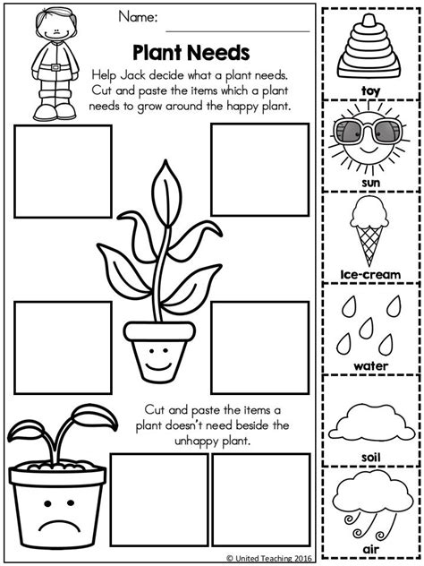 plants worksheets  kindergarten elcacerolazo