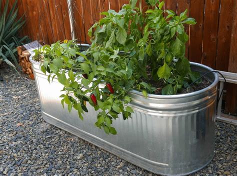 galvanized metal containers for gardening