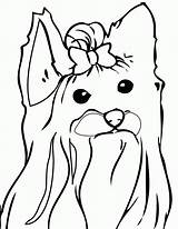 Yorkie Coloring Pages Printable Books Categories Similar sketch template
