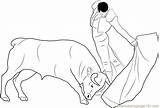 Bullfight Bull Coloringpages101 Bulls Ferdinand Cultures sketch template