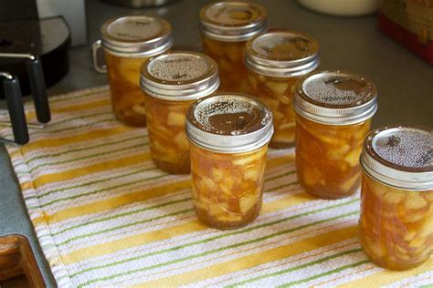 brandied apple preserves  sugarcrafter canning recipes preserving apples canning kitchen