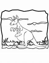 Kangaroo Coloring Pages Kangaroos Outline Printable Kids Clipart Color Cartoon Clip Baby Library Print Animal Use Popular Comments sketch template