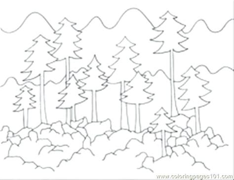 forest coloring pages  kids  getdrawings