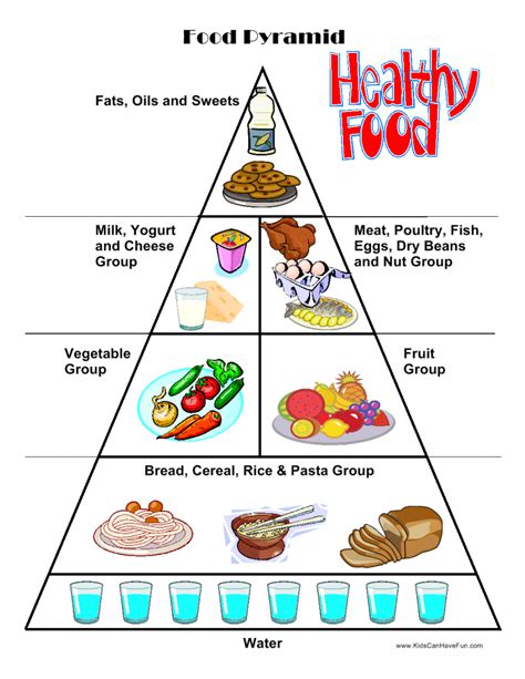 images  printable food pyramid worksheet  printable food