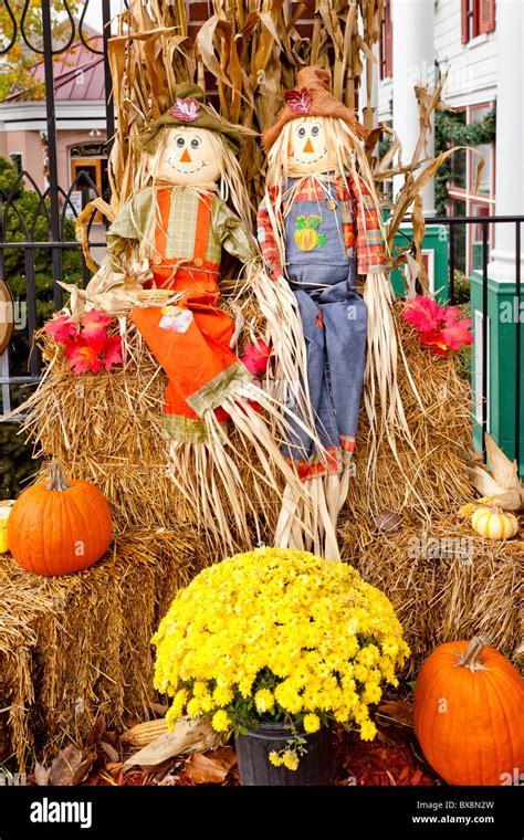 fall display  scarecrows pumpkins  corn stalks   grand