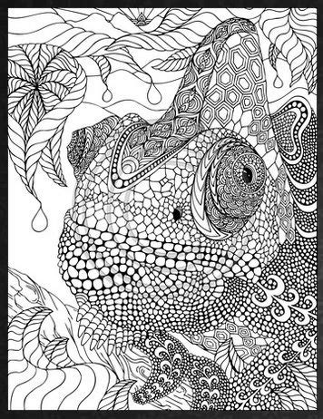 pin  coloring pages adults