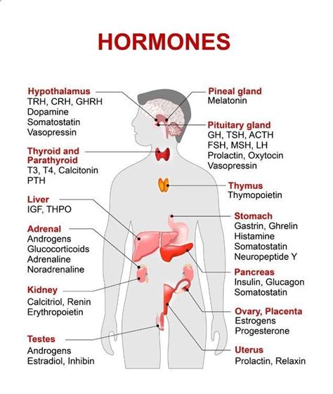 examples of hormones and the location of production