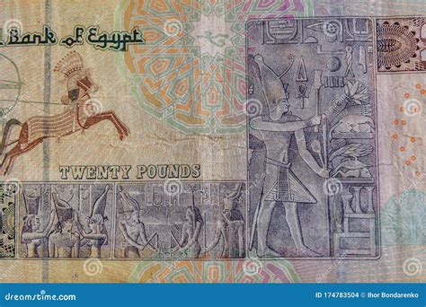 closeup  egyptian twenty pounds banknote stock photo image
