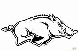 Razorback Hogs sketch template
