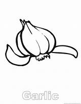 Garlic Coloring sketch template
