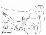 Paleontologist Roadrunner sketch template