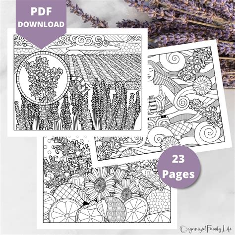 lavender essential oil coloring pages  printable instant