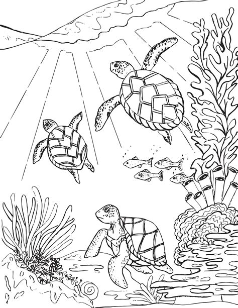 sea turtles coloring page mermaid coloring pages