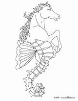 Coloring Pages Hydra Creatures Hippocampus Creature Dragon Mythical Water Mythological Greek Half Sea Drawing Color Mythology Fish Horse Colouring Cerberus sketch template