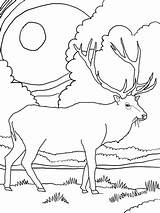 Coloring Elk Mountain Pages Rocky Printable Scenery Drawing Mountains Color Daily Deer Head Simple Supercoloring Bull Colouring Kids Animal Coloringhome sketch template