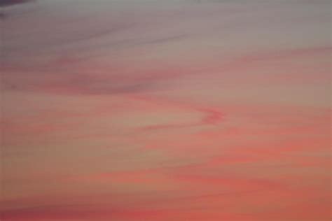 pink mist photograph  derek moffat fine art america