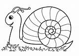 Coloring Pages Rocks Snail sketch template