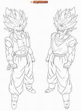 Goku Vegeta Gogeta Broly Dbz Dragonball Coloringhome sketch template