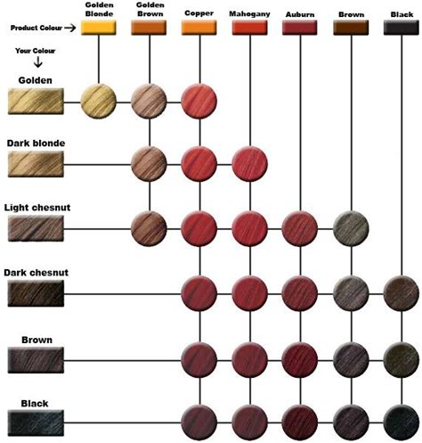 World S End Natural Products Henna Guide And Shade Chart