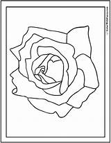 Coloring Rose Simple Pages Color Name Printable Other Template Any Pdf Kids Printables Colorwithfuzzy sketch template