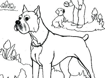 boxer dog  drawing  getdrawings