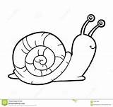 Snail Coloring Drawing Sea Book Realistic Vector Stock Children Pages Colour Printable Color Getcolorings sketch template