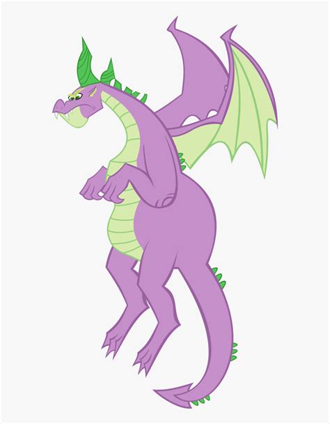 vector dragon flying   pony spike adult hd png