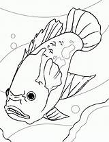 Kolorowanki Ryby Mewarnai Akuarium Dzieci Rybki Perch Aquarium Fishes Catfish Designlooter Rybami Colouring Coloringbay Oscars 1650px 92kb 1275 Ide Tentang sketch template